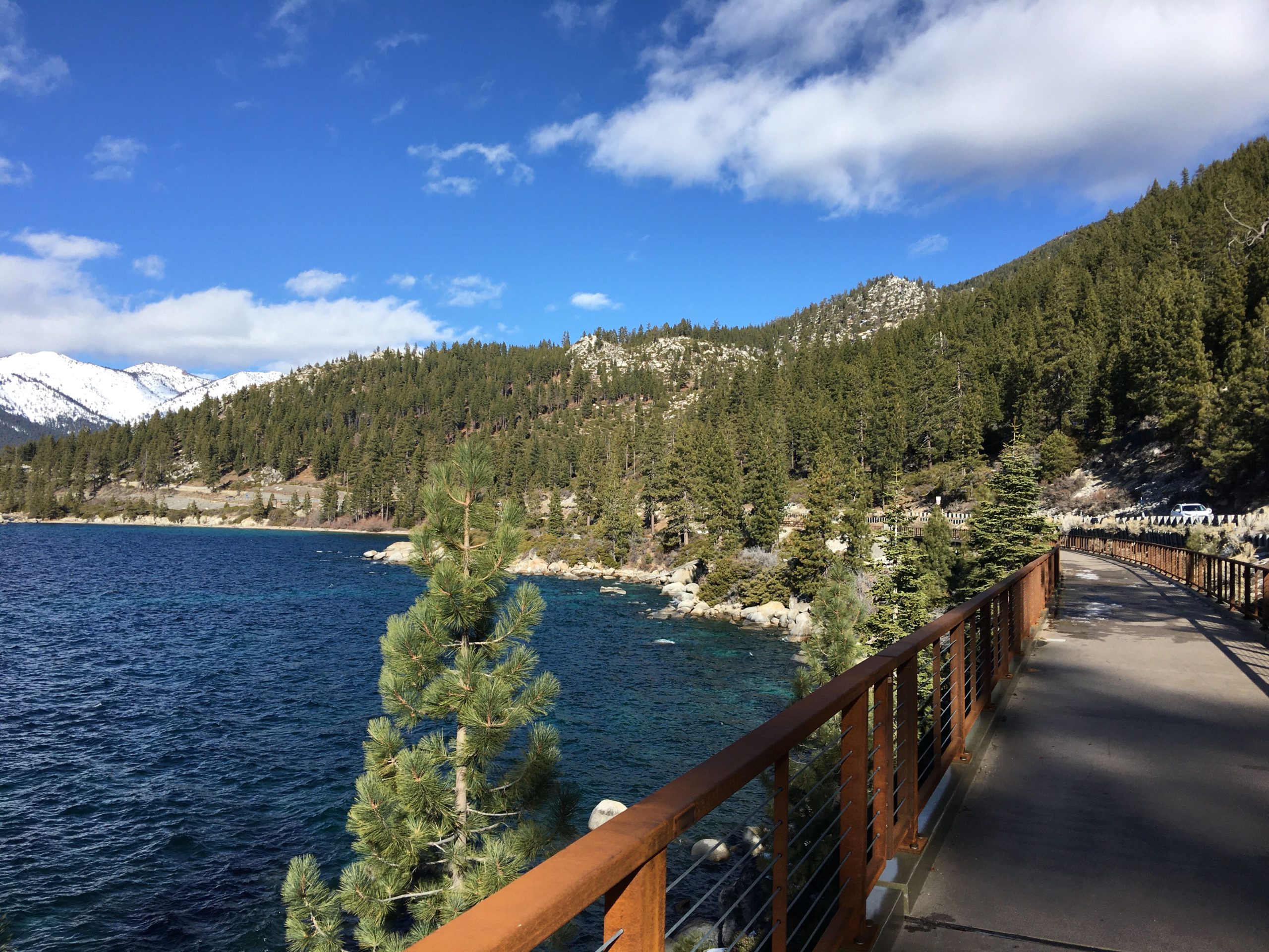 サルボ  salvo 午後のテラス タホ湖東湖岸トレイルでウオーキング@ Tahoe East Shore Trail